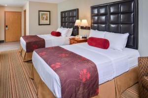 Queen Room with Roll-In Shower - Mobility Accessible room in Best Western Plus Rama Inn