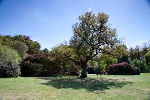 Double Room with Garden View room in Petwood Hotel