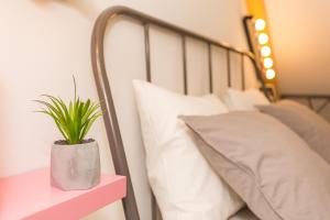 Apartment Shiny Love