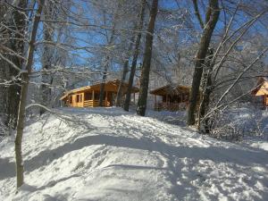 Campings Camping, Hotel De Plein Air Les Cariamas : photos des chambres