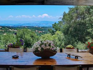 Villa Kardami -country house Corfu Greece