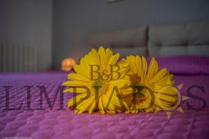 Pansion Limpiados Bed & Breakfast Licata Itaalia