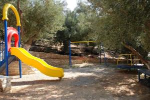 Olive Grove Rethymno Greece