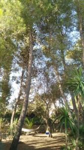 Casa Vacanze La Pineta