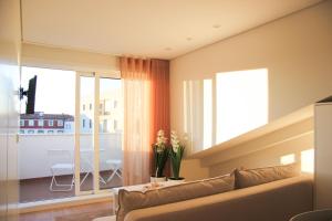 Terro Collection - Alcaide