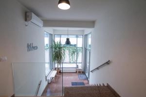 Victoriei City Studios