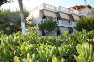 Posidonia Pension Evia Greece