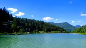 Chata u sovicky Malino Brdo