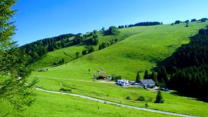 Chata u sovicky Malino Brdo