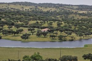 Herdade da Negrita - Agroturismo