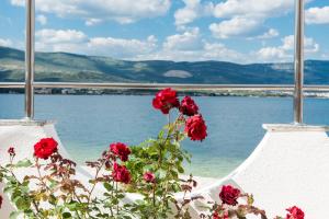 Apartment Marin,seaview,terrace massage hot tube,grill place,parking
