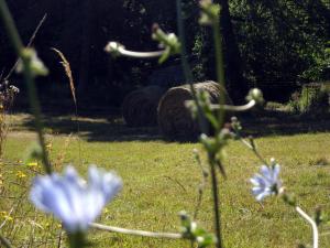 Maisons de vacances Les gites de Petrocoriis : photos des chambres