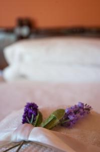 Villa Valentina img16