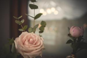 Villa Valentina img18