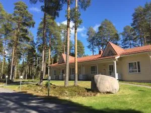 Kitinrivi B&B - Sykäräinen