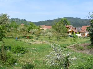 Appartements Gite MARTINS : photos des chambres