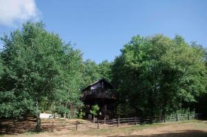 Chalets Cabane de La Mesange : photos des chambres