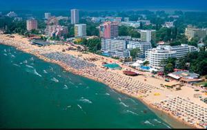 Apartment Boyana Palace