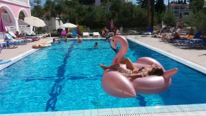 Giannis Studios Zakynthos Greece