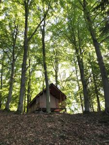 Anfasteröd Gårdsvik - Tälten