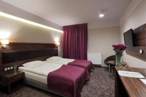 Deluxe Twin Room room in Hotel Silver