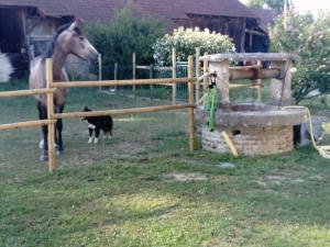 Maisons d'hotes La ferme de la chassagne : photos des chambres