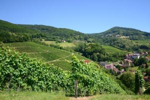 Residence am Weinberg Travellers Hotelbetriebs GmbH