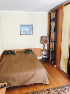 Неймовірно затишна студія у самому центрі міста з постійним світлом