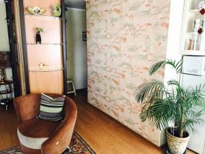 Неймовірно затишна студія у самому центрі міста з постійним світлом