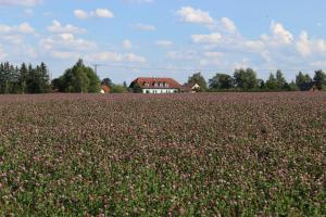 Appartement Apartment Natálie Drmoul Tsjechië