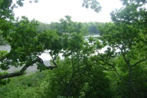 Lodges Les Cabanes de Chanteclair : photos des chambres