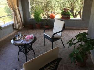 S'umbra de S'ozzastru img8