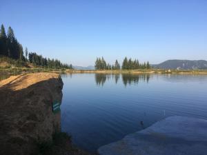 Appartement Felsenheim