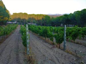 Résidence Villa Smeralda img80