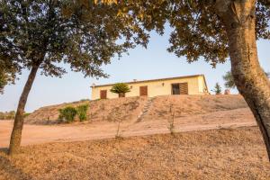 Molti Mari B&B Resort img16