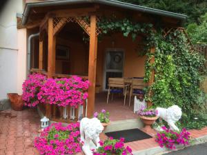 Penzion Radošov ubytování v soukromí