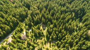 Holiday Home Kuća Ulaga