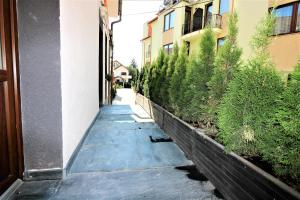 Flowers House Sibiu