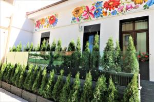 Flowers House Sibiu