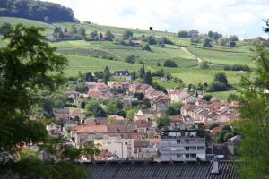 Appartements La Villa Geiss : photos des chambres