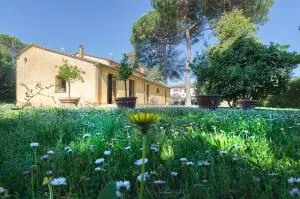 Pisa Holidays - Vecchiano