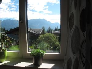 Appartement Waldblick