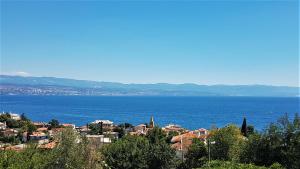 Apartments Panoramic