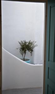 Mykonos Moussa Myconos Greece