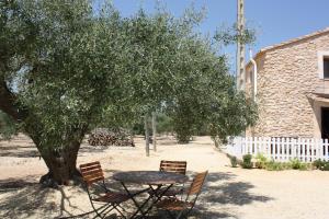 Cau dAmor