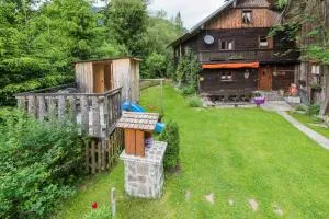 Almliesl LUNG-495 - Lungötz