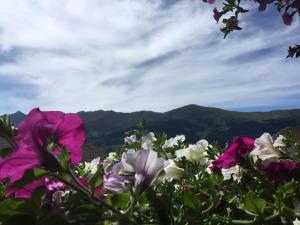 Pension Burgschroffen