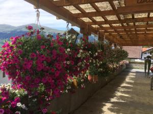 Pension Burgschroffen