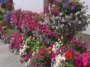 Pension Burgschroffen