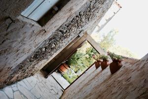 Maisons d'hotes Le Manoir de Marie-Lou : photos des chambres